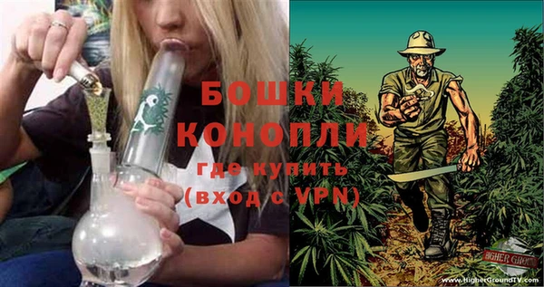 гидропоника Гусев