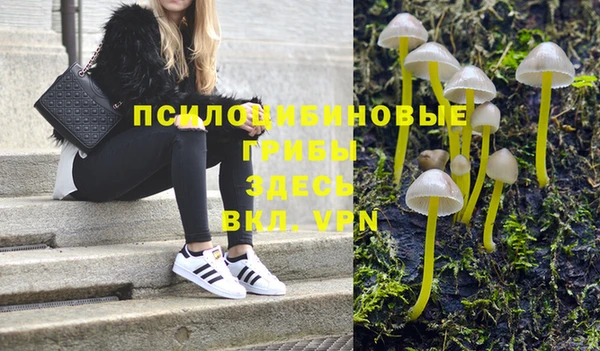 гидропоника Гусев