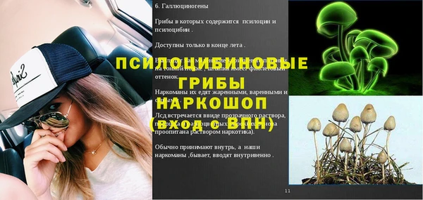 твердый Гусиноозёрск